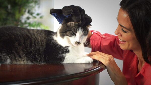 Deshedding Brush Gloves for Dogs and Cats - Image 9