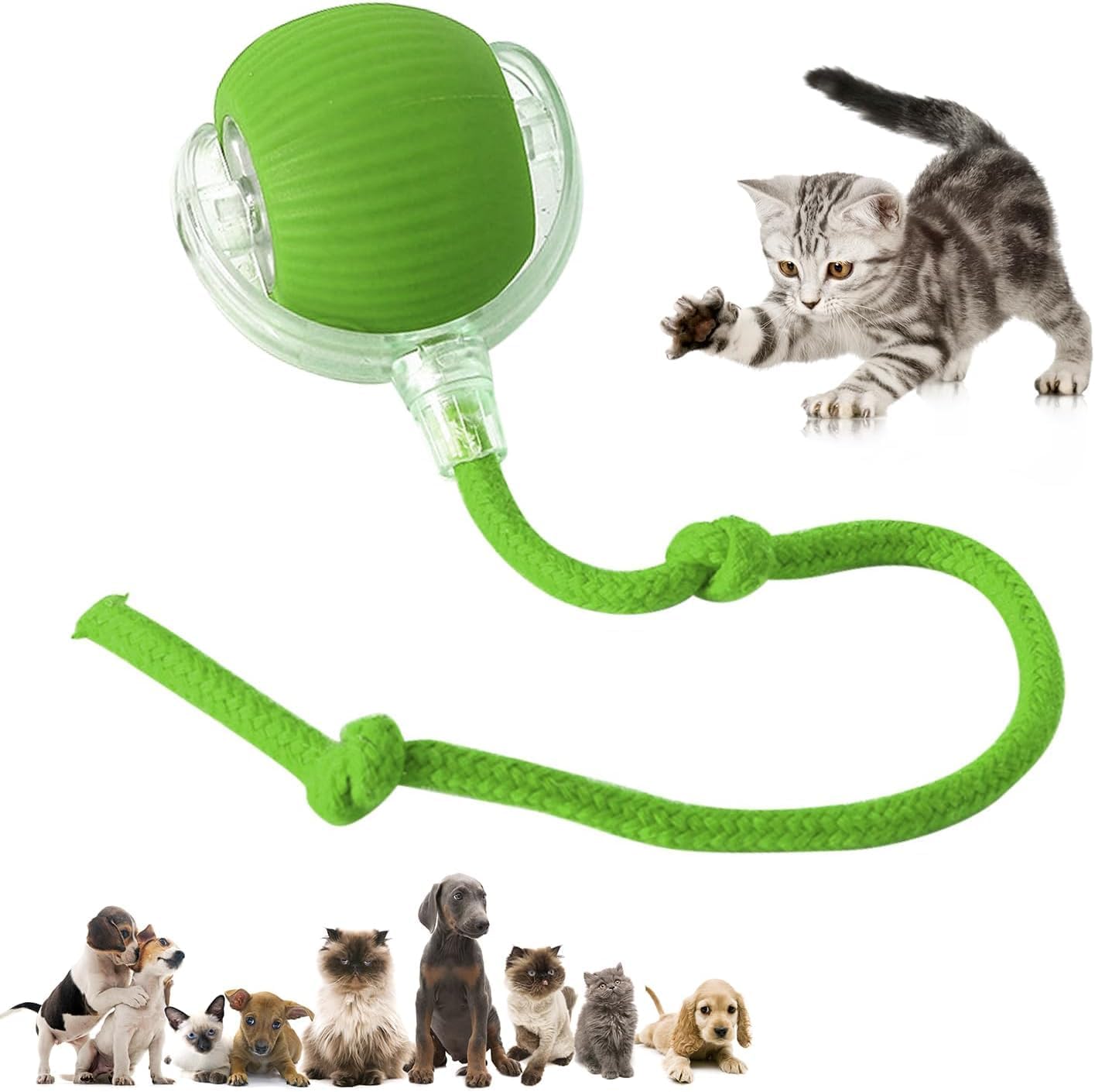 Pawzo™ Rolling Fun Ball – Smart Interactive Pet Toy for Dogs & Cats - Image 3