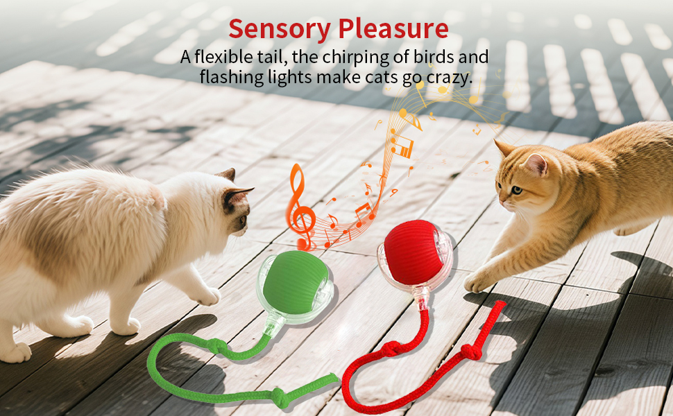 Pawzo™ Pet Grooming Combo – 4-in-1 Bathing Brush, Hair Remover & Fun Toy Ball for Dogs & Cats - Image 2