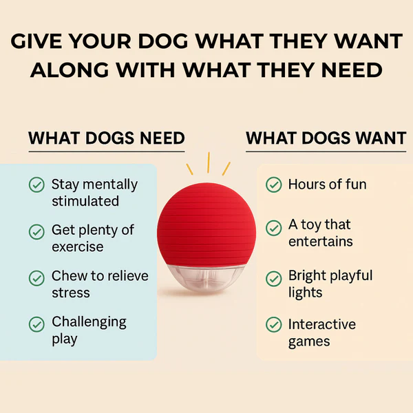 Pawzo Smart Pet Chase Ball Buy 1 get 1 free - Image 5