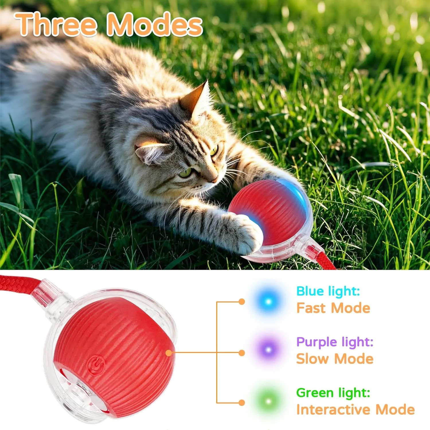 Pawzo™ Pet Toy & Bath Brush Combo | Interactive Play Ball + Soft Silicone Grooming Brush for Dogs & Cats | Fun + Care in One Pack - Image 3