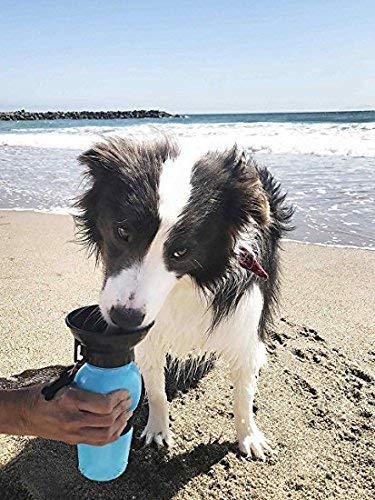 Pawzo Plastic Puppies Dog Water Bottle,Leak Proof Portable Puppy Water Dispenser Drinking Feeder (Multicolor) - Image 5