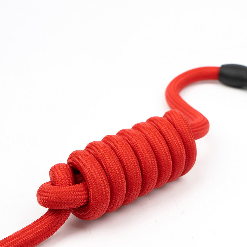 Pawzo™ No-Pull Dog Harness with Shock-Absorbing Leash | Adjustable Soft Pet Harness for Small & Medium Dogs | Comfortable, Anti-Choke, Escape-Proof Design for Walking & Training - Image 5