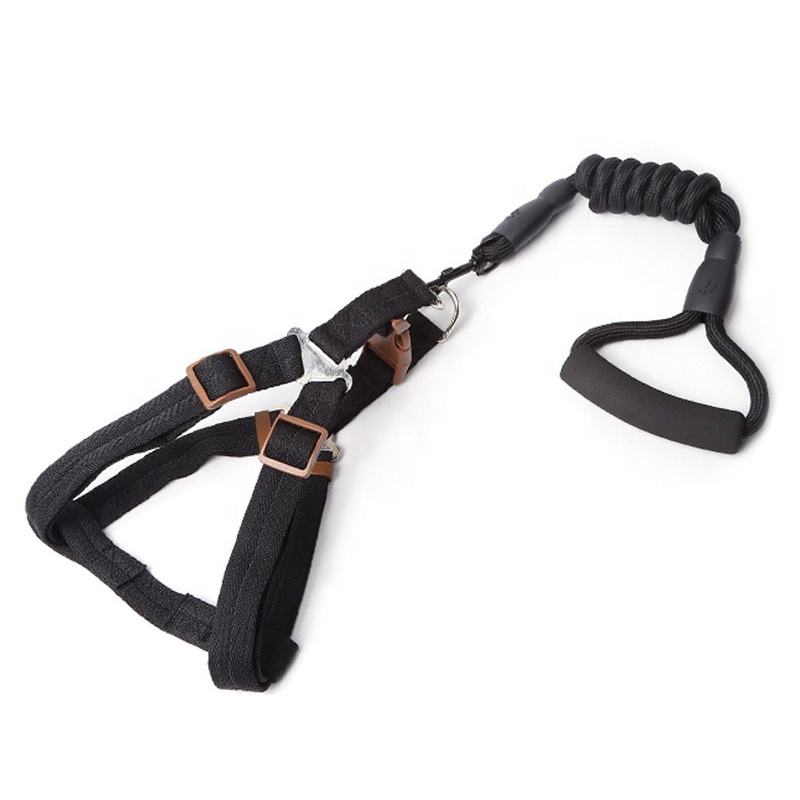 Pawzo™ No-Pull Dog Harness with Shock-Absorbing Leash | Adjustable Soft Pet Harness for Small & Medium Dogs | Comfortable, Anti-Choke, Escape-Proof Design for Walking & Training - Image 8